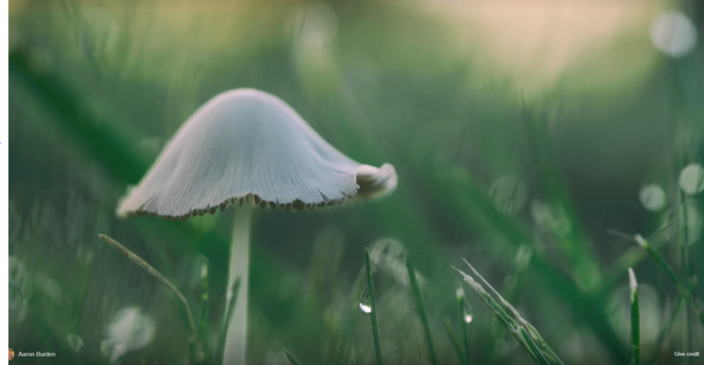 f:id:Cass_9999:20170821234041p:plain f:id:Cass_9999:20170821234041p:plain