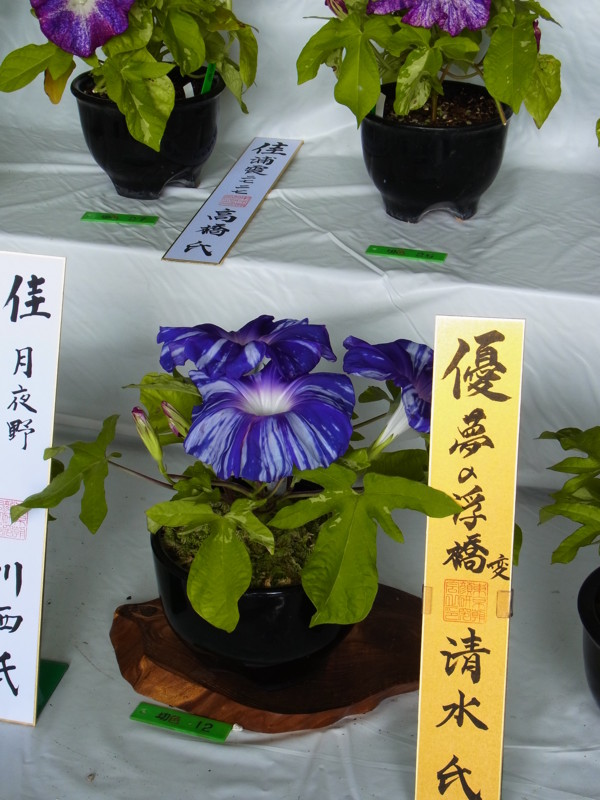 f:id:Caster1976:20130728115428j:image