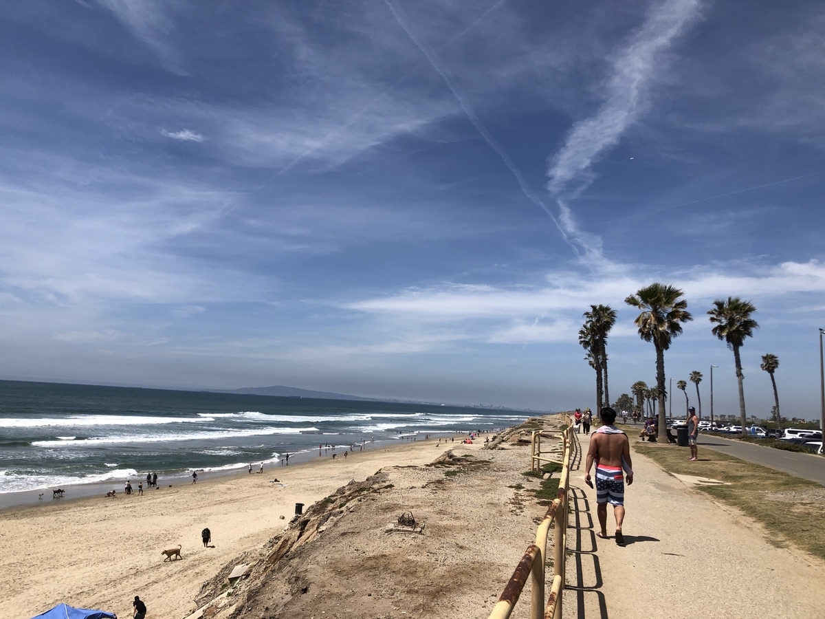 #Huntington #beach #dog #beach