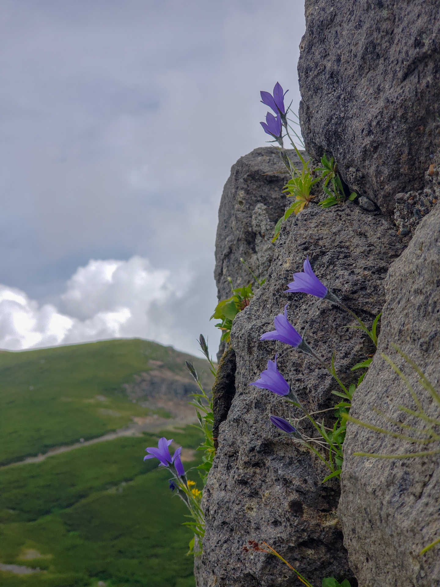 f:id:Catch227:20180722150654j:plain