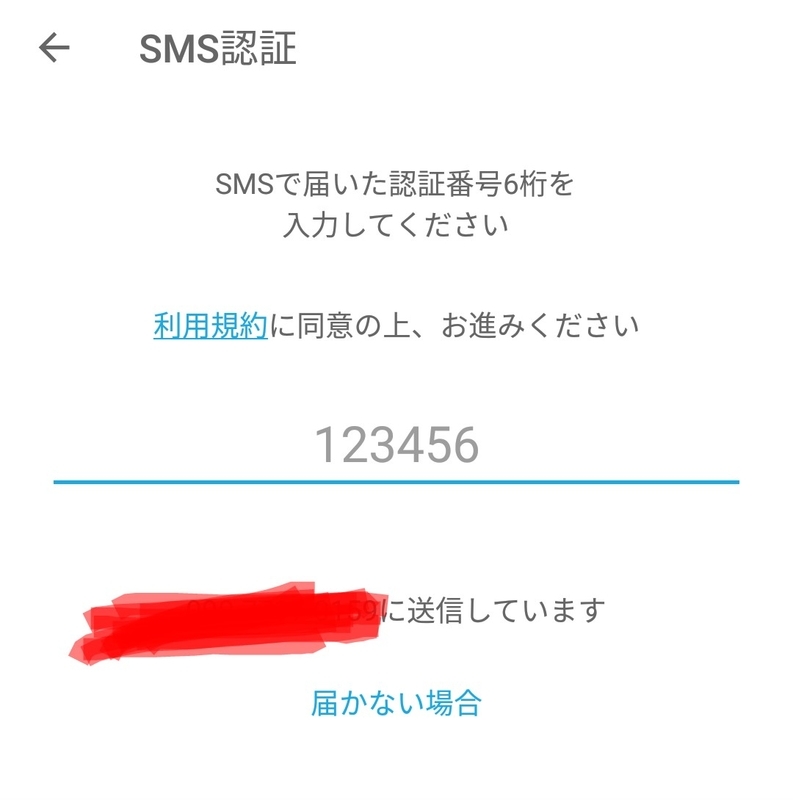 イメージ 5