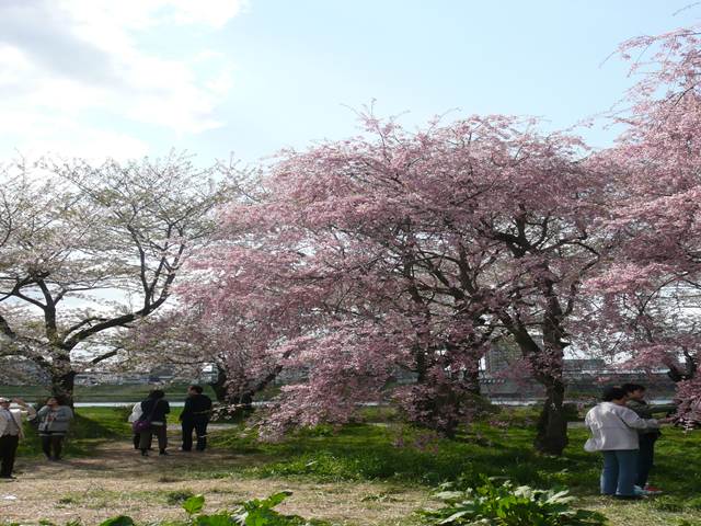 イメージ 8