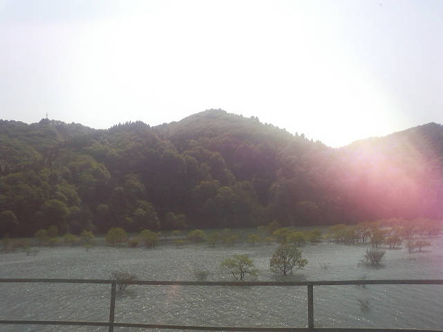 イメージ 5