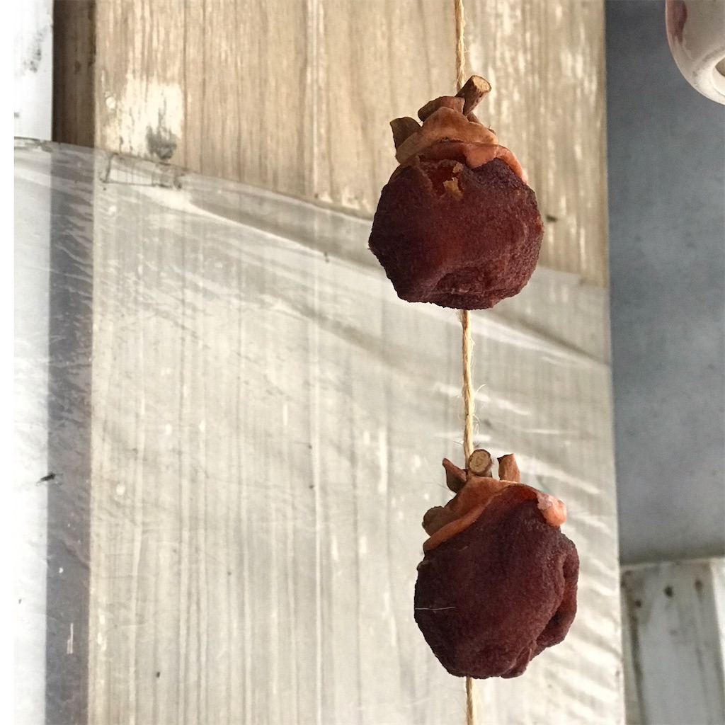 f:id:CatchtheMoment:20210123161535j:image f:id:CatchtheMoment:20210123161535j:image