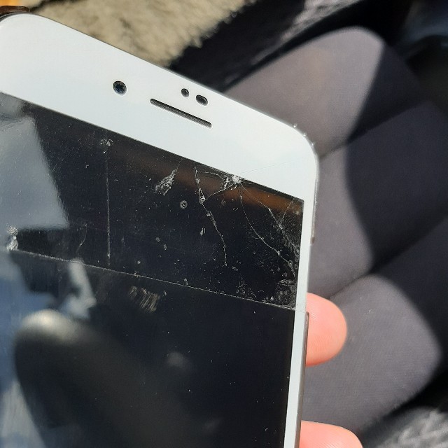 f:id:CatchtheMoment:20210323101612j:image f:id:CatchtheMoment:20210323101612j:image