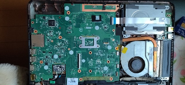 f:id:CatchtheMoment:20220704085622j:image f:id:CatchtheMoment:20220704085622j:image