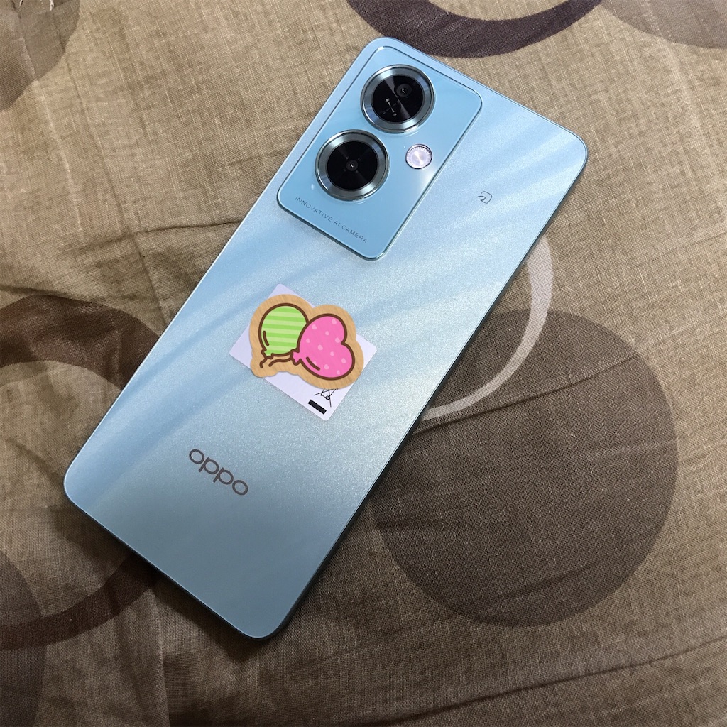 f:id:CatchtheMoment:20240217135526j:image f:id:CatchtheMoment:20240217135526j:image