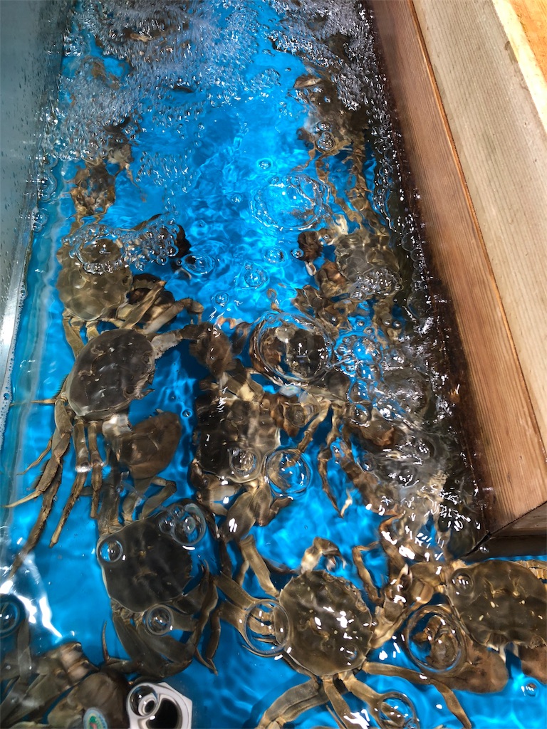 f:id:Catherine624:20190114012745j:image f:id:Catherine624:20190114012745j:image