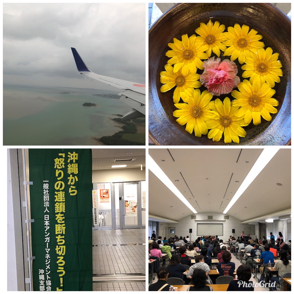 f:id:Catherine624:20190407214742j:image f:id:Catherine624:20190407214742j:image