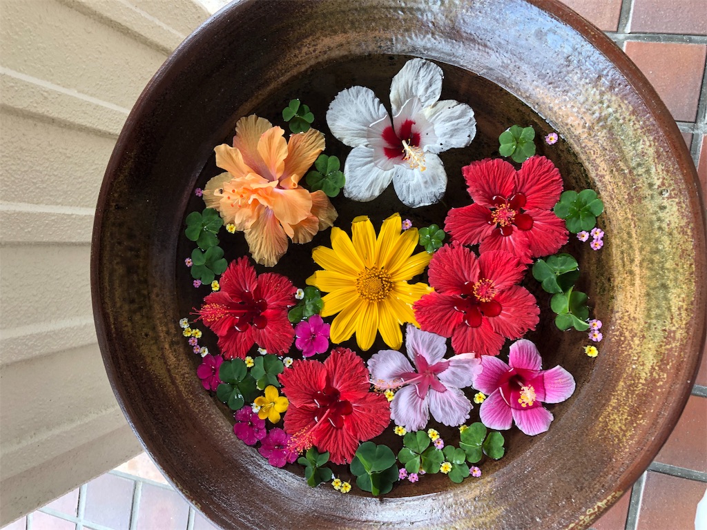 f:id:Catherine624:20190407215720j:image f:id:Catherine624:20190407215720j:image