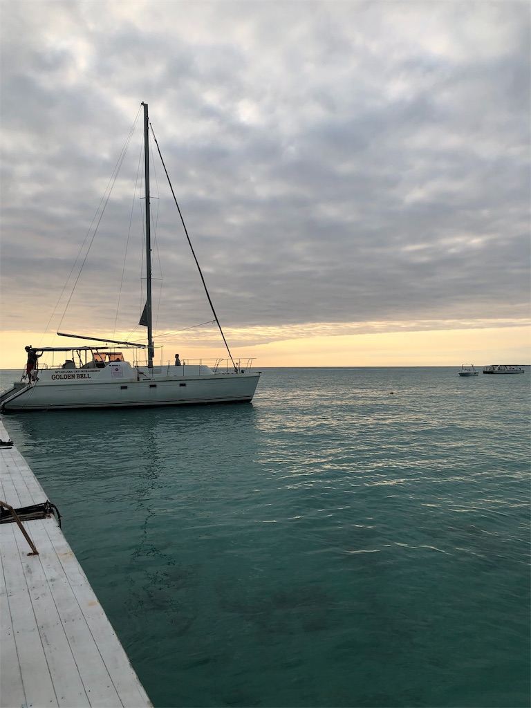f:id:Catherine624:20190407215748j:image f:id:Catherine624:20190407215748j:image