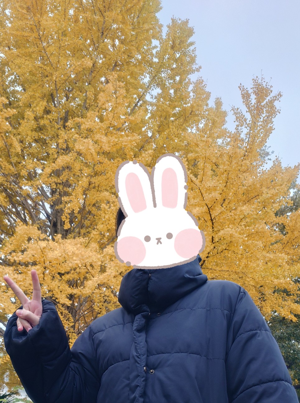 f:id:Cchandayo:20251219154003j:image