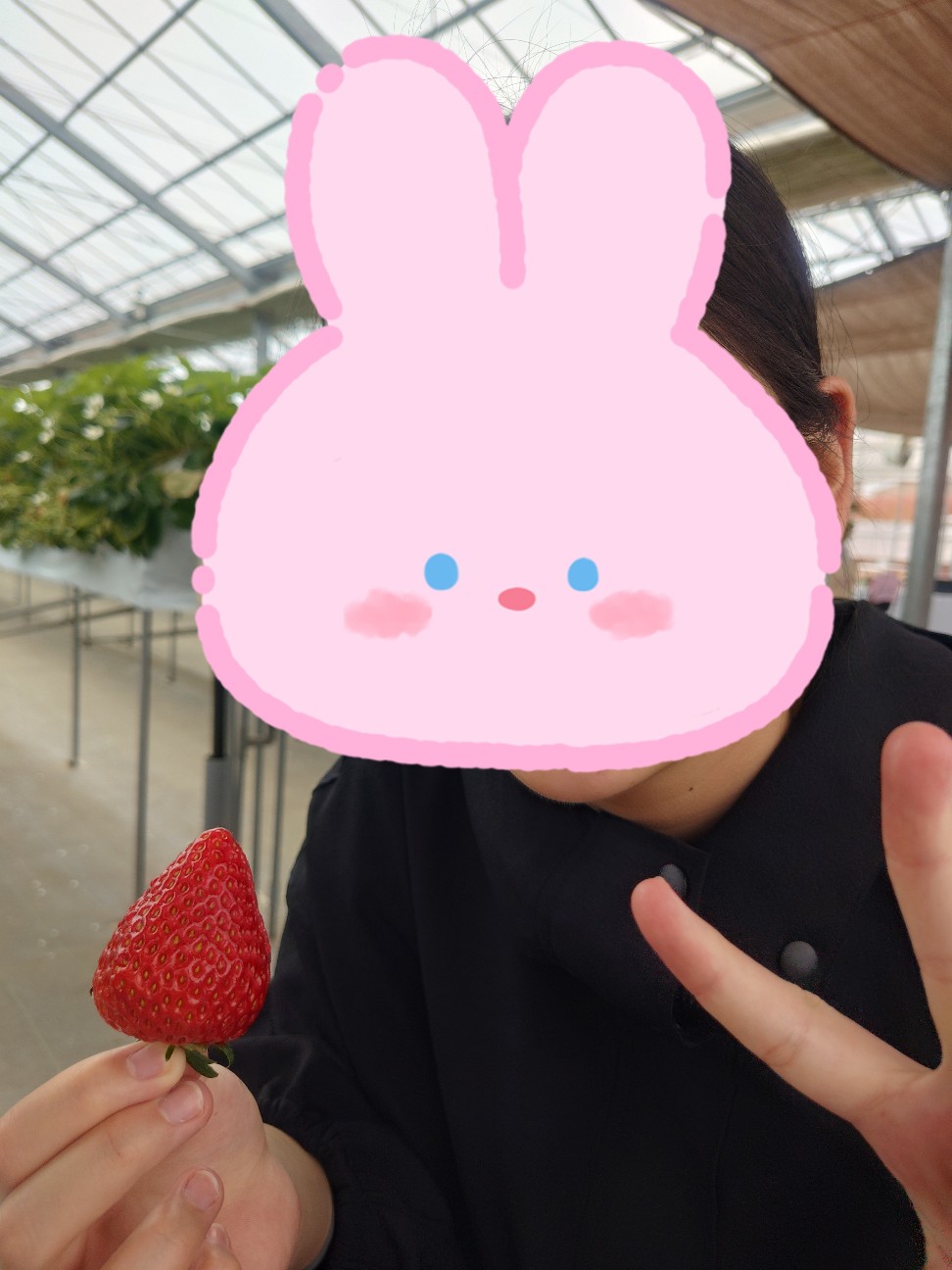 f:id:Cchandayo:20260527155118j:image