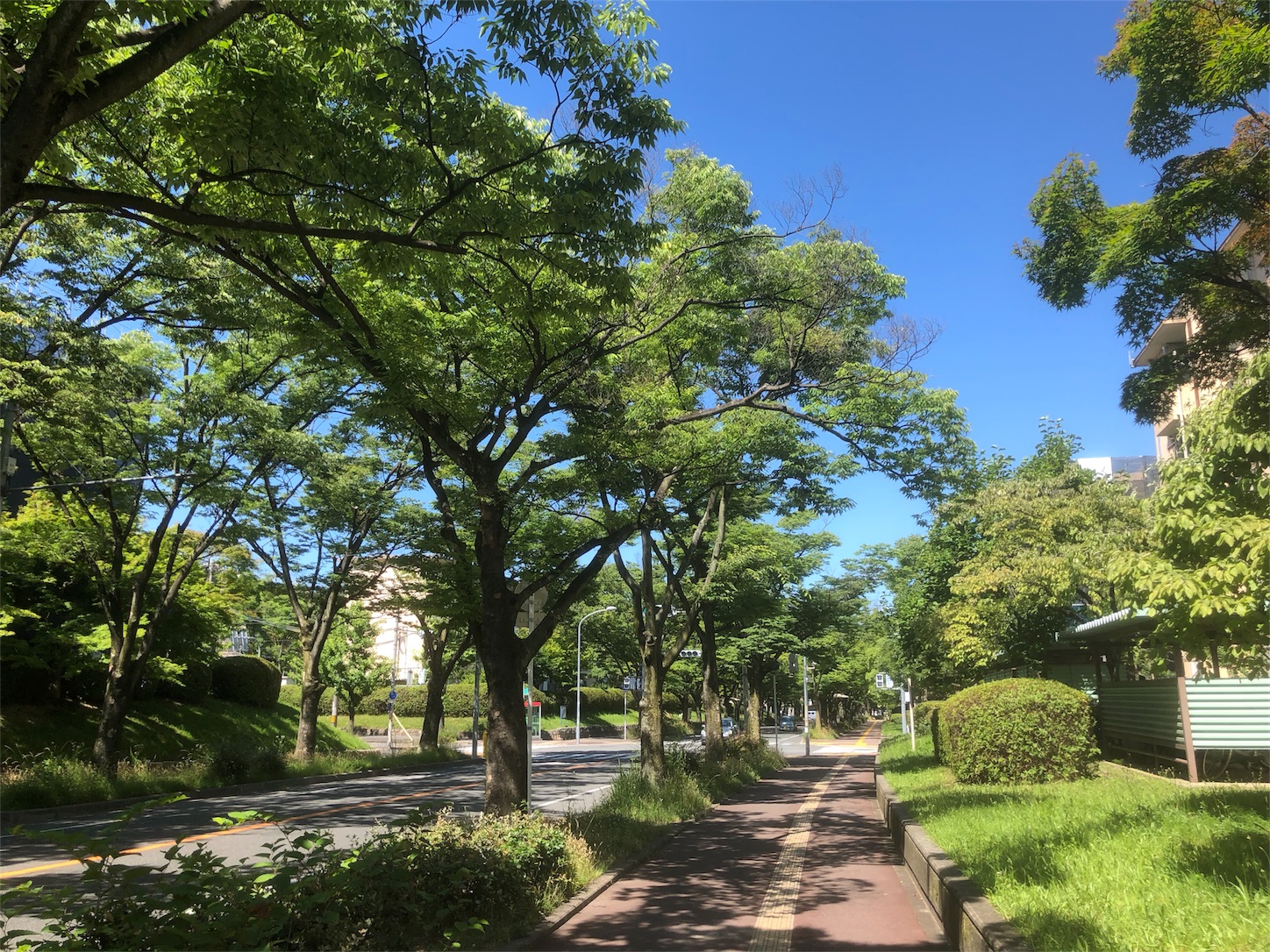 f:id:CebunseaS:20180616173336j:image f:id:CebunseaS:20180616173336j:image