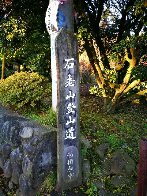 f:id:CentralAttack:20161203165101j:image f:id:CentralAttack:20161203165101j:image