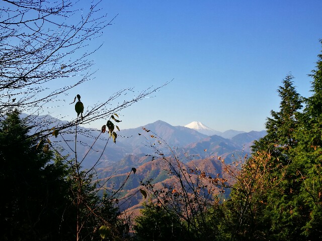 f:id:CentralAttack:20161203165808j:image f:id:CentralAttack:20161203165808j:image