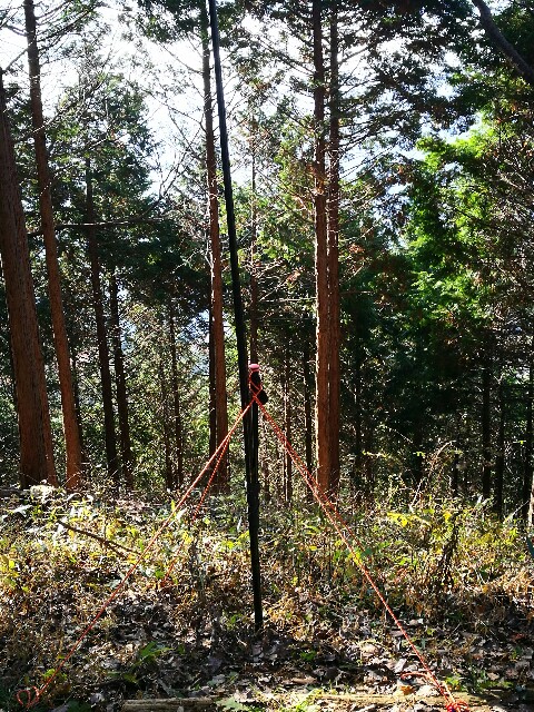 f:id:CentralAttack:20161203171230j:image f:id:CentralAttack:20161203171230j:image