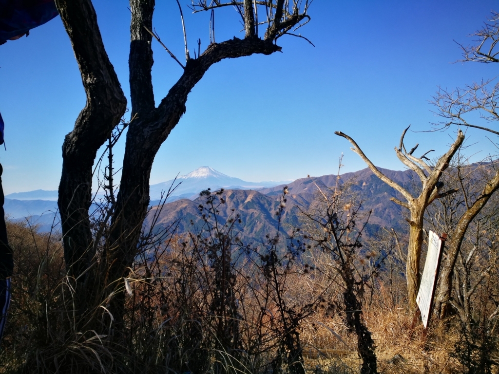 f:id:CentralAttack:20171223202948j:plain f:id:CentralAttack:20171223202948j:plain