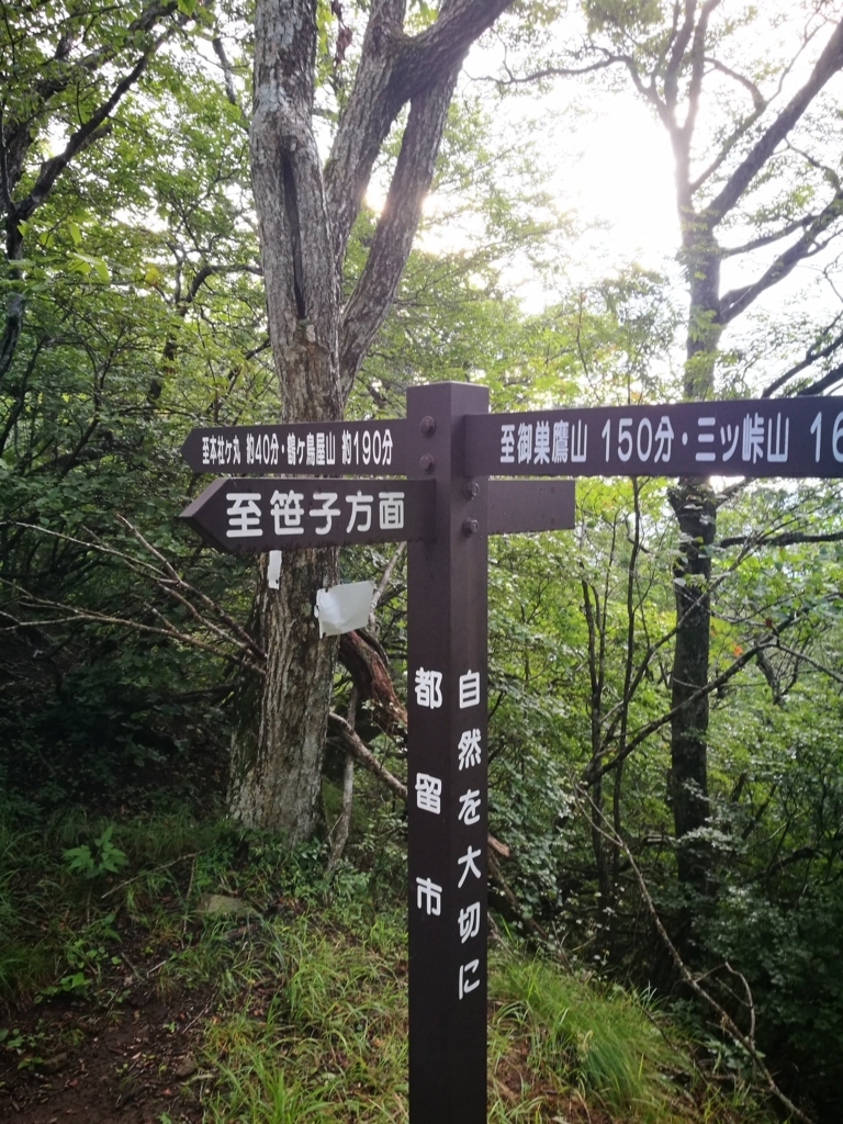 f:id:CentralAttack:20180816224537j:plain f:id:CentralAttack:20180816224537j:plain