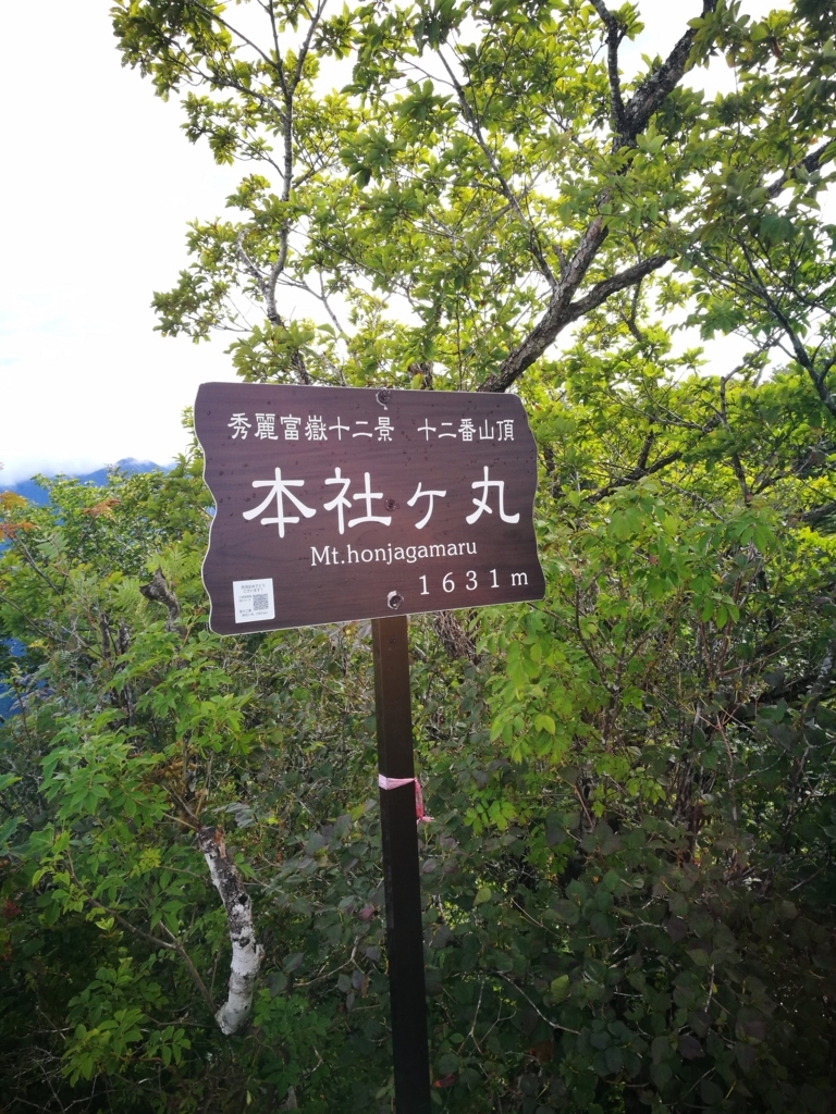f:id:CentralAttack:20180816225045j:plain f:id:CentralAttack:20180816225045j:plain