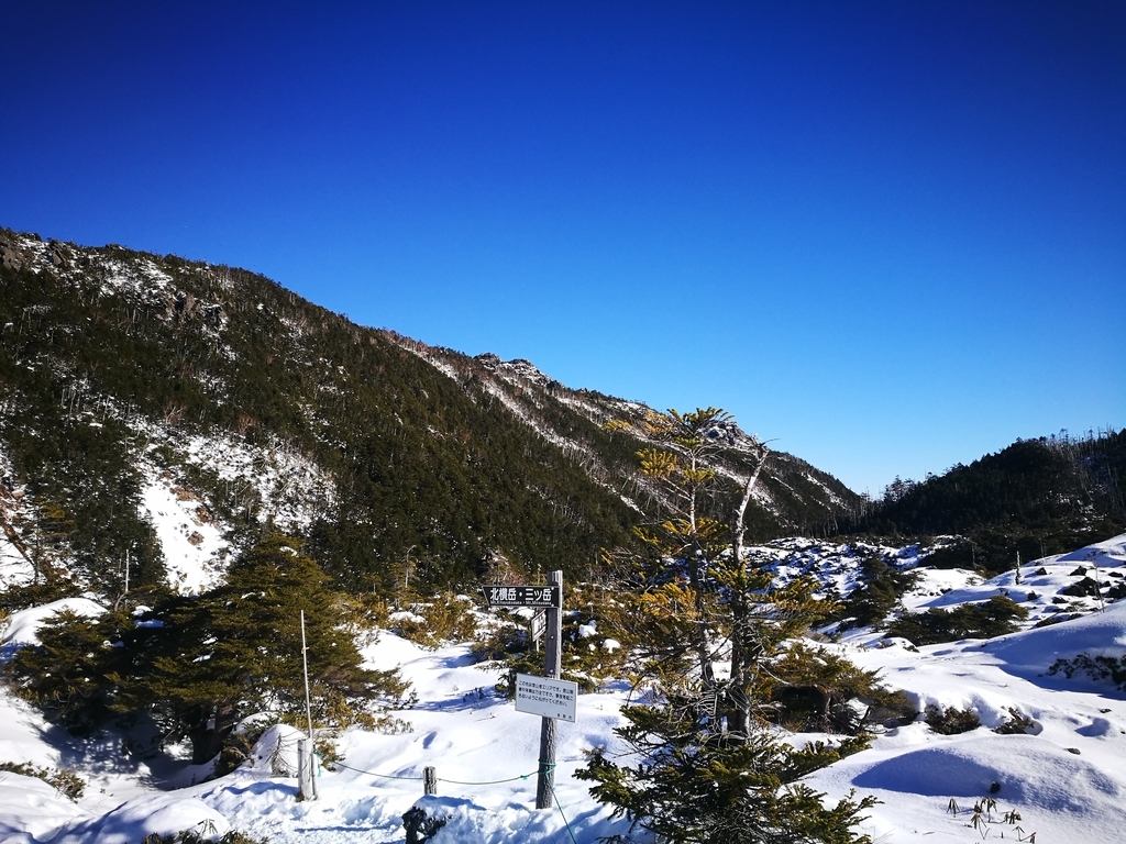 f:id:CentralAttack:20190113234824j:plain f:id:CentralAttack:20190113234824j:plain