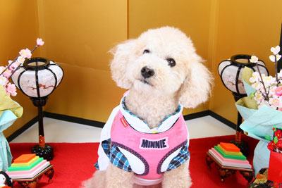 f:id:Cha-co:20110308150151j:image f:id:Cha-co:20110308150151j:image