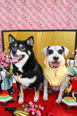 f:id:Cha-co:20110308150447j:image f:id:Cha-co:20110308150447j:image