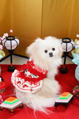 f:id:Cha-co:20110308162242j:image f:id:Cha-co:20110308162242j:image