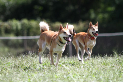 f:id:Cha-co:20110928184853j:image f:id:Cha-co:20110928184853j:image