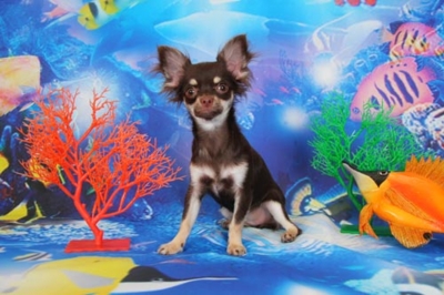f:id:Cha-co:20120608160458j:image f:id:Cha-co:20120608160458j:image