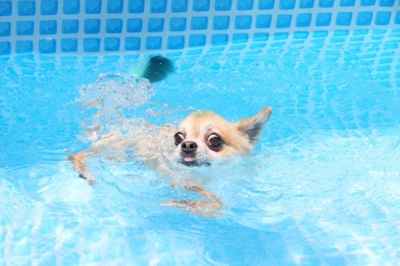 f:id:Cha-co:20120720110537j:image f:id:Cha-co:20120720110537j:image