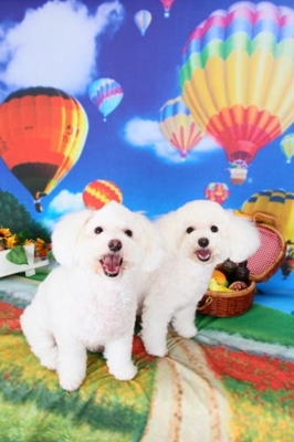 f:id:Cha-co:20120904182747j:image f:id:Cha-co:20120904182747j:image