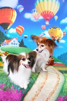 f:id:Cha-co:20120904183301j:image f:id:Cha-co:20120904183301j:image