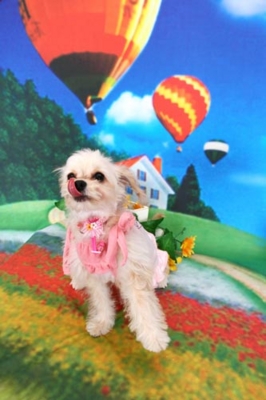 f:id:Cha-co:20120904183304j:image f:id:Cha-co:20120904183304j:image