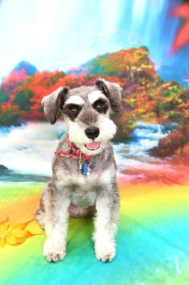 f:id:Cha-co:20120927112433j:image f:id:Cha-co:20120927112433j:image