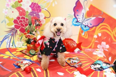 f:id:Cha-co:20121116151804j:image f:id:Cha-co:20121116151804j:image