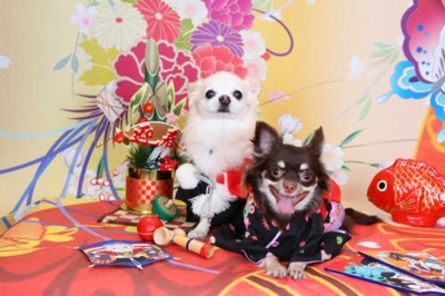 f:id:Cha-co:20121116152533j:image f:id:Cha-co:20121116152533j:image