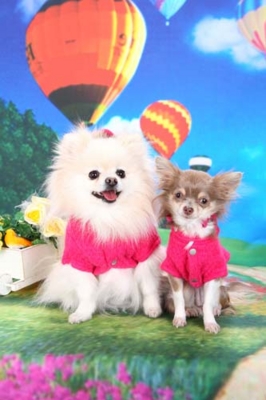 f:id:Cha-co:20130225163919j:image f:id:Cha-co:20130225163919j:image
