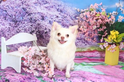 f:id:Cha-co:20130322162309j:image f:id:Cha-co:20130322162309j:image