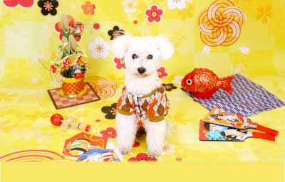 f:id:Cha-co:20160122180324j:image f:id:Cha-co:20160122180324j:image