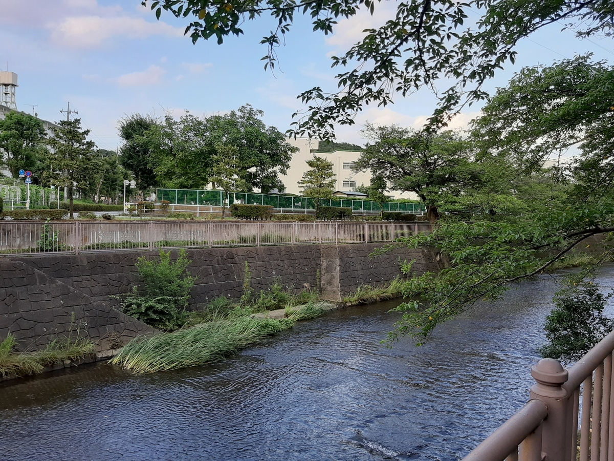 f:id:ChachaKu24:20200807005845j:plain f:id:ChachaKu24:20200807005845j:plain