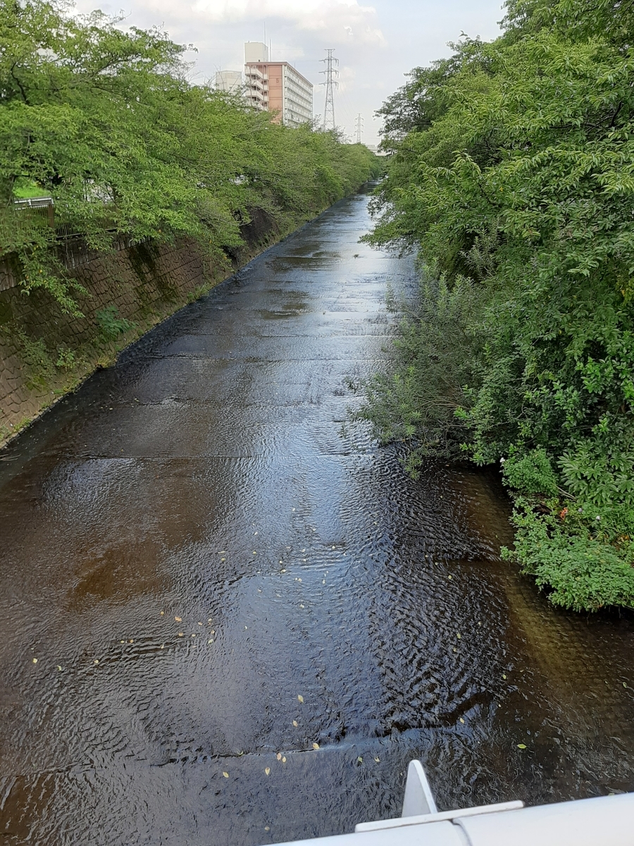 f:id:ChachaKu24:20200807010107j:plain f:id:ChachaKu24:20200807010107j:plain