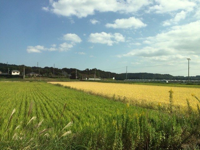 f:id:Chachapo:20141012132109j:plain