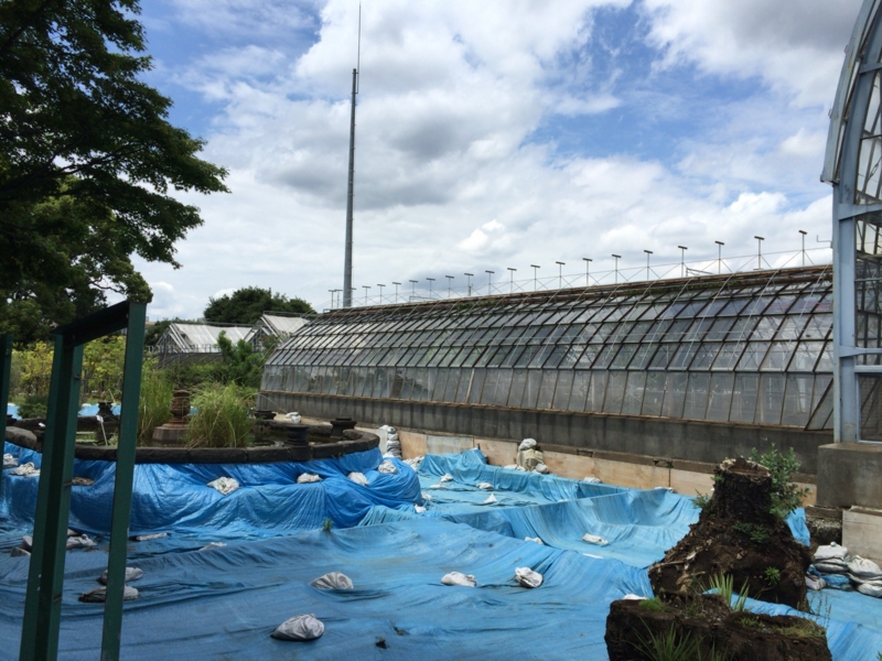 f:id:Chachapo:20150606124655j:plain f:id:Chachapo:20150606124655j:plain