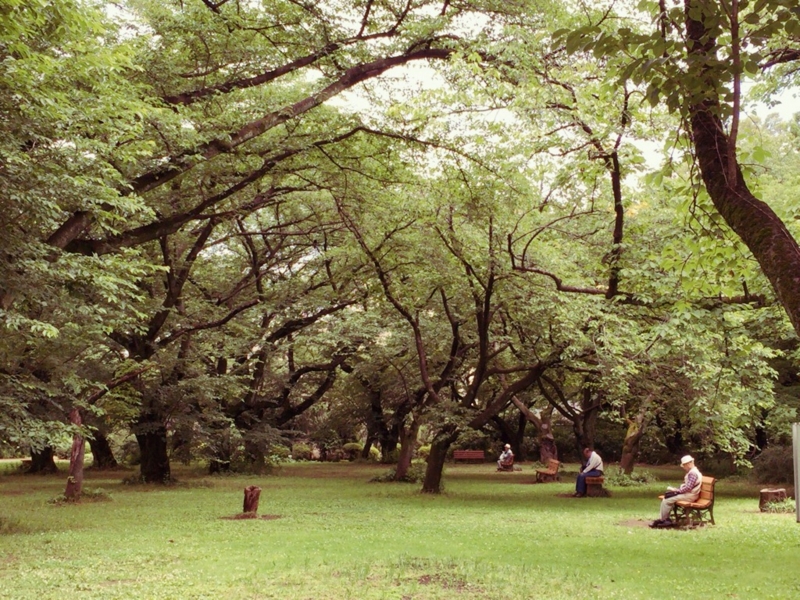 f:id:Chachapo:20150609212815j:plain f:id:Chachapo:20150609212815j:plain