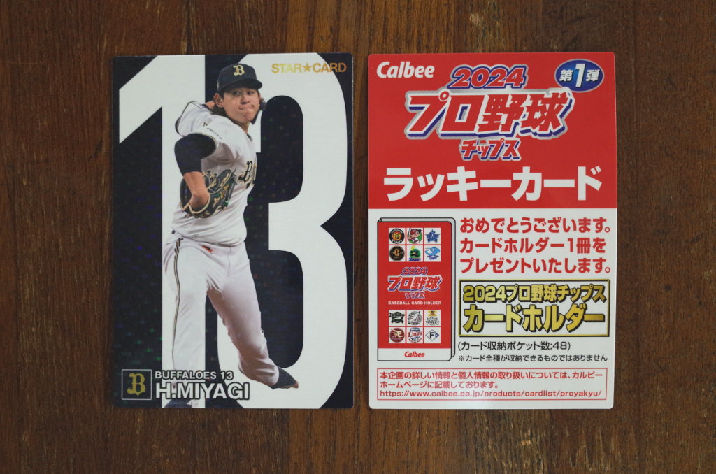 ラッキー(その2) - 目で見る 心で見る