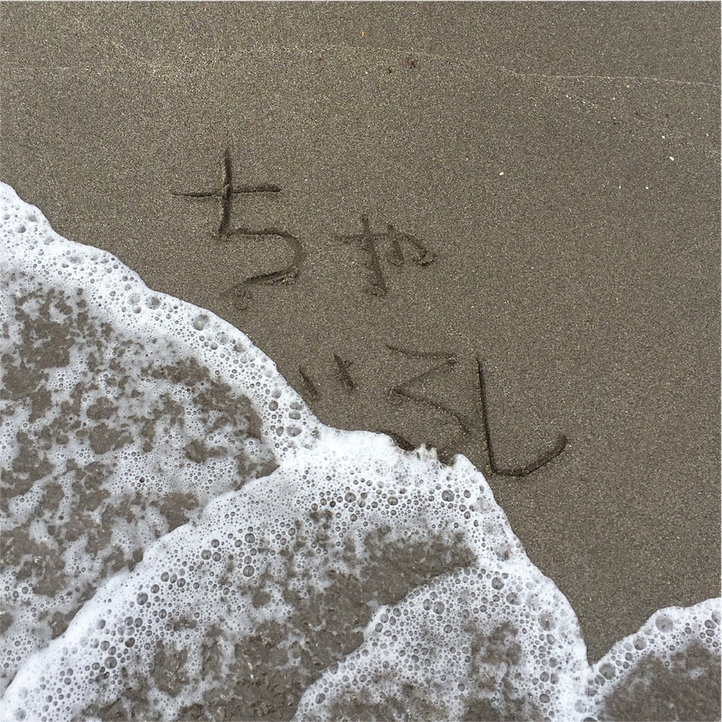 f:id:Chajirushi:20160528194623j:image
