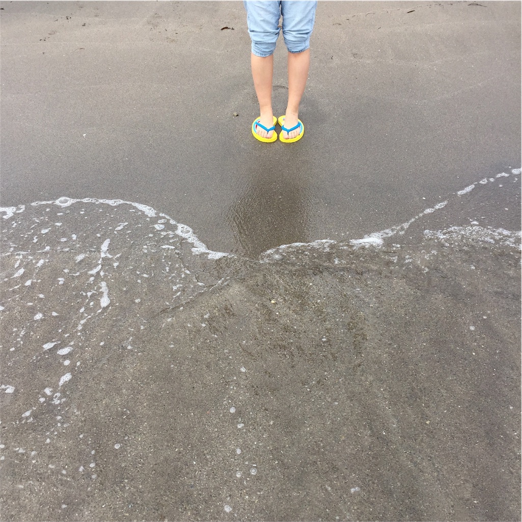f:id:Chajirushi:20160601151843j:image
