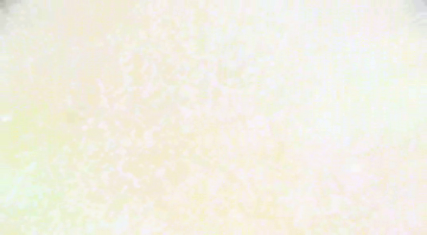 f:id:ChaldeaGecko:20200409225336p:plain