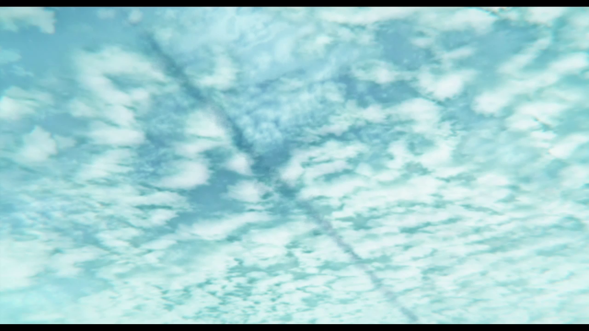 f:id:ChaldeaGecko:20200614220339p:plain